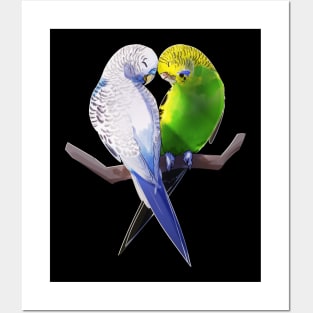 Bird lover budgie love valentines gift Posters and Art